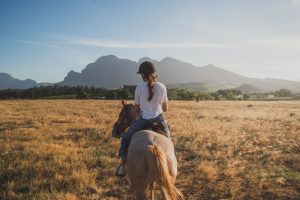 Kom godt i gang med at ride i professionelt regi